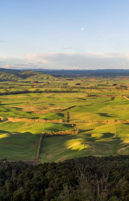 EmerTech | AI & Software Solutions in Southland, NZ